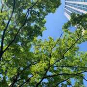 ヒメ日記 2025/04/26 15:35 投稿 あい 熟女総本店