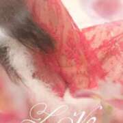 ヒメ日記 2026/01/26 11:45 投稿 あい 熟女総本店