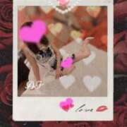 ヒメ日記 2026/04/27 18:22 投稿 あい 熟女総本店