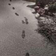 ヒメ日記 2025/02/24 20:26 投稿 花京院　はなび 出張メンズエステ ロマンスSPA 奈良