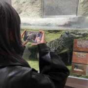 ヒメ日記 2025/03/16 16:16 投稿 鈴木めろ HYPER TOKYO