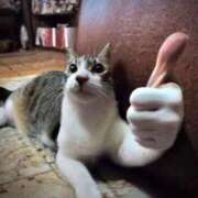 ヒメ日記 2025/03/29 13:56 投稿 鈴木めろ HYPER TOKYO