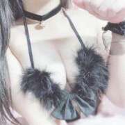 ヒメ日記 2025/05/12 22:44 投稿 鈴木めろ HYPER TOKYO