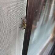 ヒメ日記 2025/07/21 13:20 投稿 鈴木めろ HYPER TOKYO