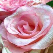 ヒメ日記 2025/08/19 08:14 投稿 鈴木めろ HYPER TOKYO