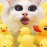 ヒメ日記 2025/08/23 03:04 投稿 鈴木めろ HYPER TOKYO