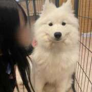 ヒメ日記 2025/10/07 23:24 投稿 まあこ タレント倶楽部