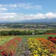 ヒメ日記 2025/09/02 10:40 投稿 沢田 人妻楼 木更津店