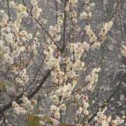 ヒメ日記 2026/02/22 19:18 投稿 沢田 人妻楼 木更津店