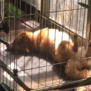 ヒメ日記 2026/03/22 18:41 投稿 沢田 人妻楼 木更津店