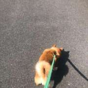 ヒメ日記 2026/03/24 21:10 投稿 沢田 人妻楼 木更津店