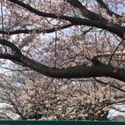 沢田 おはようございます☀️ 人妻楼 木更津店