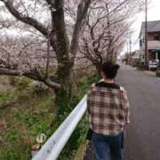 ヒメ日記 2026/04/03 07:28 投稿 沢田 人妻楼 木更津店