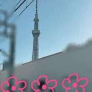 ヒメ日記 2025/03/07 16:28 投稿 菊川　久美 30・40・50代☆人妻熟女コレクション