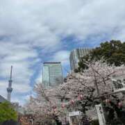 ヒメ日記 2025/04/06 08:02 投稿 菊川　久美 30・40・50代☆人妻熟女コレクション