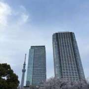 ヒメ日記 2025/04/12 12:31 投稿 菊川　久美 30・40・50代☆人妻熟女コレクション