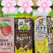 ヒメ日記 2025/04/17 08:00 投稿 菊川　久美 30・40・50代☆人妻熟女コレクション