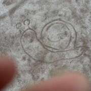 ヒメ日記 2025/04/20 08:02 投稿 菊川　久美 30・40・50代☆人妻熟女コレクション