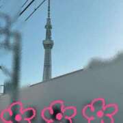 ヒメ日記 2025/05/18 08:02 投稿 菊川　久美 30・40・50代☆人妻熟女コレクション