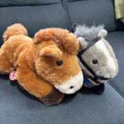 ヒメ日記 2025/06/01 08:00 投稿 菊川　久美 30・40・50代☆人妻熟女コレクション