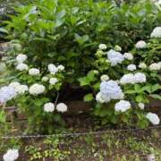 ヒメ日記 2025/06/10 22:46 投稿 菊川　久美 30・40・50代☆人妻熟女コレクション