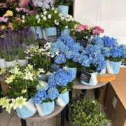 ヒメ日記 2025/06/14 19:40 投稿 菊川　久美 30・40・50代☆人妻熟女コレクション