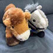 ヒメ日記 2025/06/15 08:00 投稿 菊川　久美 30・40・50代☆人妻熟女コレクション