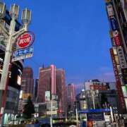 ヒメ日記 2025/07/08 08:00 投稿 菊川　久美 30・40・50代☆人妻熟女コレクション