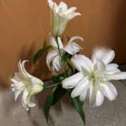 ヒメ日記 2025/07/13 08:00 投稿 菊川　久美 30・40・50代☆人妻熟女コレクション