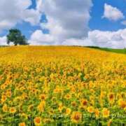 ヒメ日記 2025/07/23 08:00 投稿 菊川　久美 30・40・50代☆人妻熟女コレクション