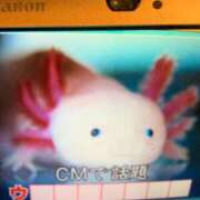 ヒメ日記 2025/08/28 08:00 投稿 菊川　久美 30・40・50代☆人妻熟女コレクション