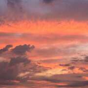 ヒメ日記 2025/09/04 08:00 投稿 菊川　久美 30・40・50代☆人妻熟女コレクション