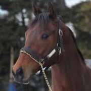 ヒメ日記 2025/09/28 08:00 投稿 菊川　久美 30・40・50代☆人妻熟女コレクション