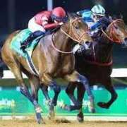 ヒメ日記 2025/10/09 08:00 投稿 菊川　久美 30・40・50代☆人妻熟女コレクション