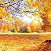 ヒメ日記 2025/10/22 08:00 投稿 菊川　久美 30・40・50代☆人妻熟女コレクション