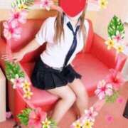 ヒメ日記 2026/01/28 01:26 投稿 ナラ 恋の季節