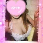 ヒメ日記 2026/02/15 02:09 投稿 ナラ 恋の季節