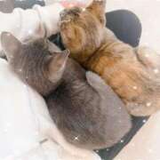 ヒメ日記 2025/02/03 16:39 投稿 姫路はな 熟女パラダイス岐阜店（カサブランカグループ）