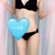 ヒメ日記 2025/01/08 19:00 投稿 いろは 東京人妻セレブリティ（ユメオト）