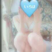 ヒメ日記 2025/02/03 14:50 投稿 いろは 東京人妻セレブリティ（ユメオト）