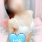 ヒメ日記 2025/02/15 15:00 投稿 いろは 東京人妻セレブリティ（ユメオト）