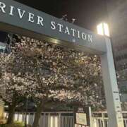 ヒメ日記 2025/04/06 03:23 投稿 いろは 東京人妻セレブリティ（ユメオト）