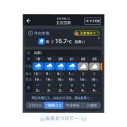 ヒメ日記 2025/05/02 18:43 投稿 いろは 東京人妻セレブリティ（ユメオト）