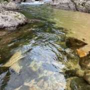 ヒメ日記 2025/08/16 19:42 投稿 きき 奥様さくら日本橋店