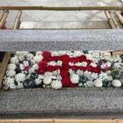 ヒメ日記 2026/01/11 09:16 投稿 ヒヨリ★新人 人妻生レンタル-石巻-