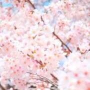 ヒメ日記 2026/04/20 13:56 投稿 ヒヨリ★新人 人妻生レンタル-石巻-