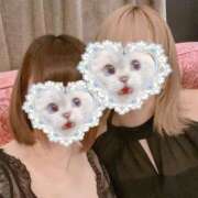 ヒメ日記 2025/04/06 20:03 投稿 じゅん クラブアリア -CLUB ARIA-