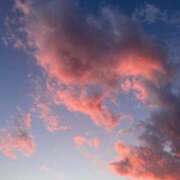 ヒメ日記 2025/01/19 15:28 投稿 みお 横浜 風俗 妻がオンナに変わるとき