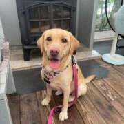 ヒメ日記 2025/01/29 19:28 投稿 みお 横浜 風俗 妻がオンナに変わるとき