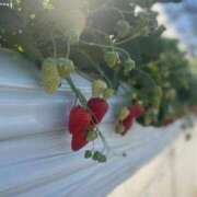 ヒメ日記 2025/02/25 12:01 投稿 みお 横浜 風俗 妻がオンナに変わるとき